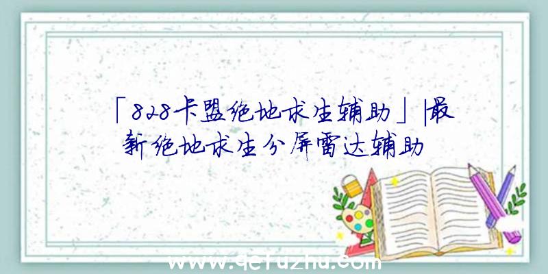 「828卡盟绝地求生辅助」|最新绝地求生分屏雷达辅助